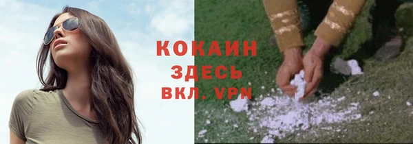 мяу мяу мука Арсеньев