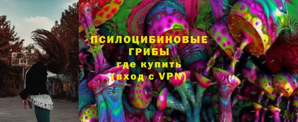мяу мяу мука Арсеньев